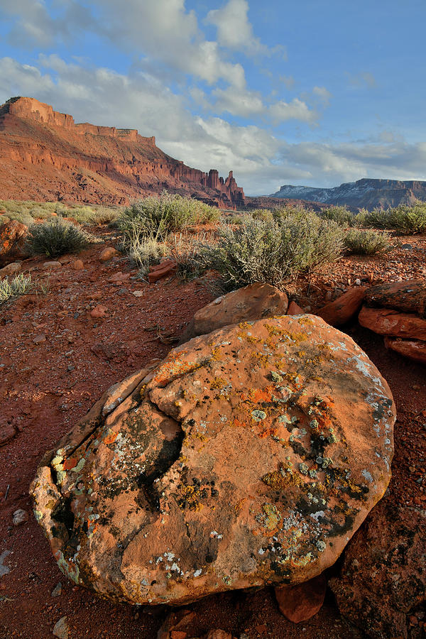 Colorful Lichen Covered Boulder in Utahs Castle Valley Photograph by Ray Mathis