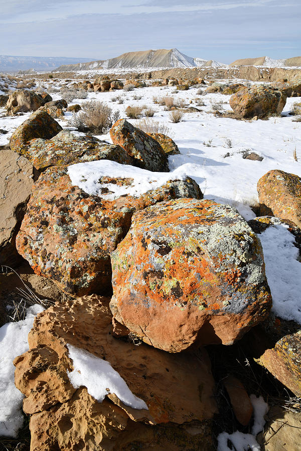 Colorful Lichen Covered Boulders in Book Cliffs Photograph by Ray Mathis