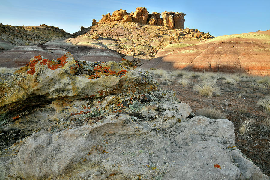 Colorful Lichens Boulders and Dunes at Red Point Photograph by Ray Mathis