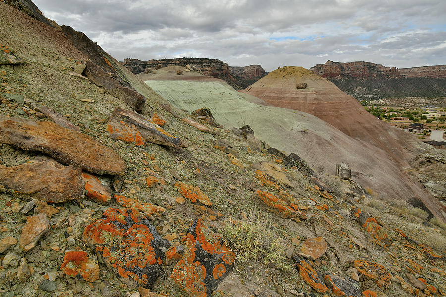 Colorful Lichens on Ancient Volcanoes in Grand Junction CO Photograph by Ray Mathis