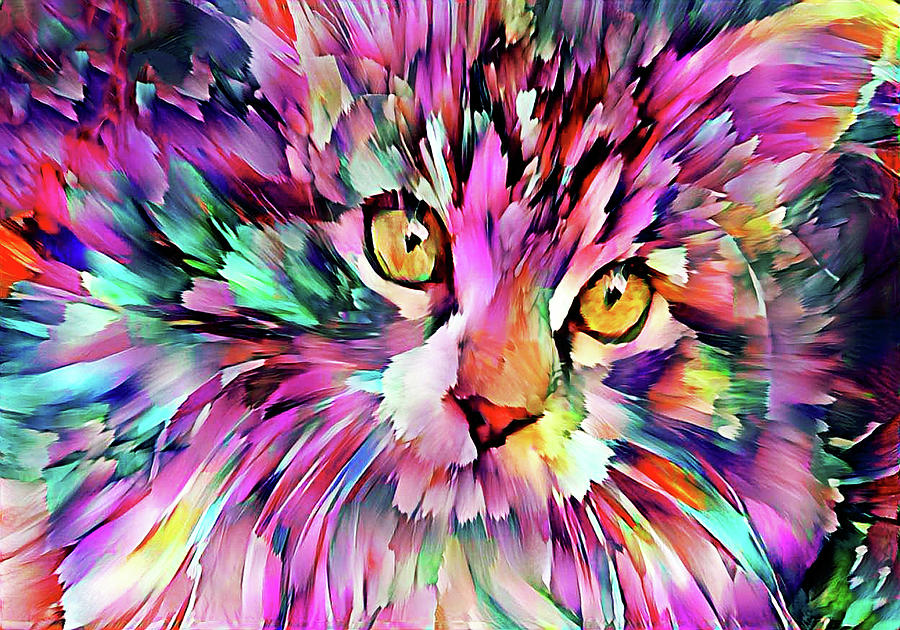 Colorful Maine Coon Kitten Digital Art by Peggy Collins
