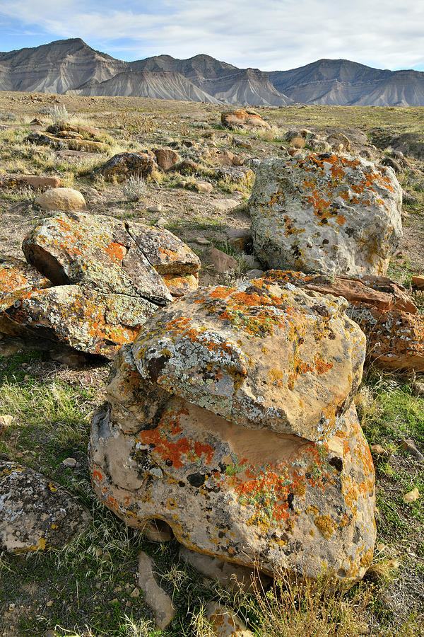 Colorful Muffin-like Boulders of the Book Cliffs Photograph by Ray Mathis