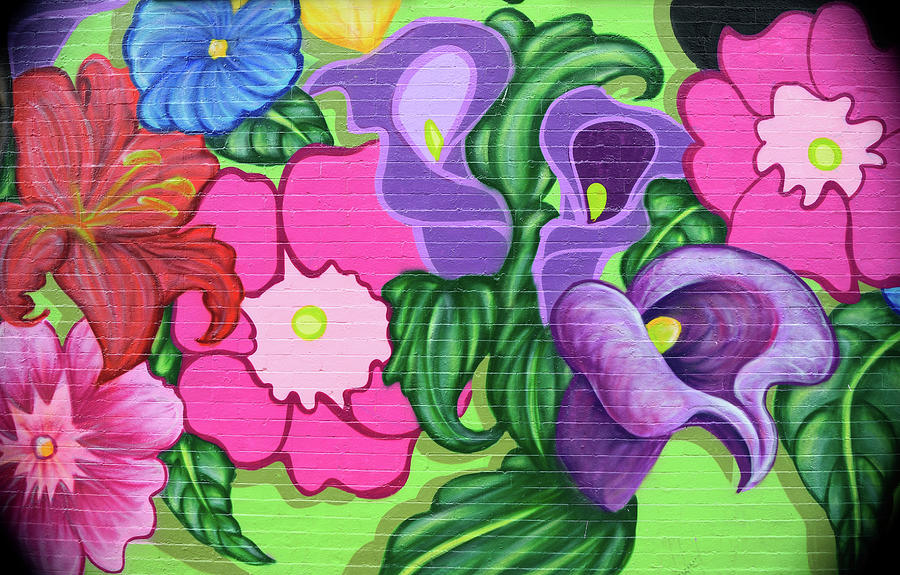 Colorful Mural Photograph by Karen Harrison Brown