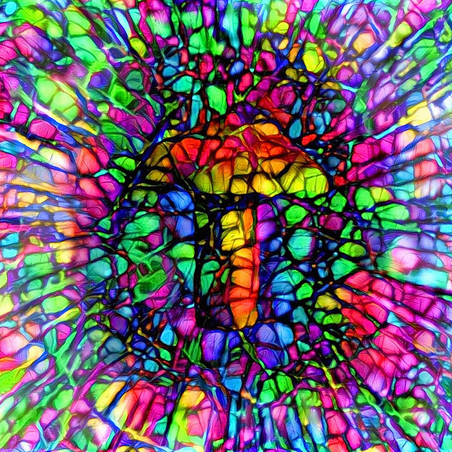 Mushroom Digital Art - Colorful Mushroom by Bruce Rolff