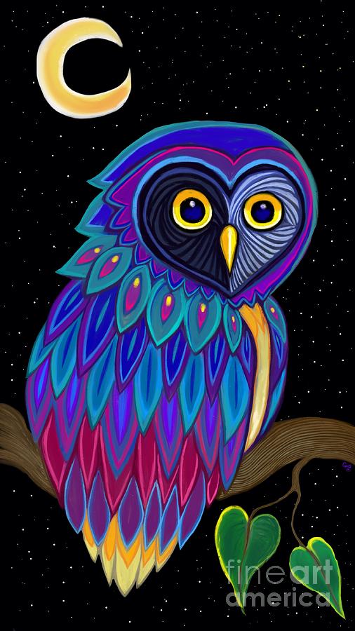 Colorful Night Owl Digital Art