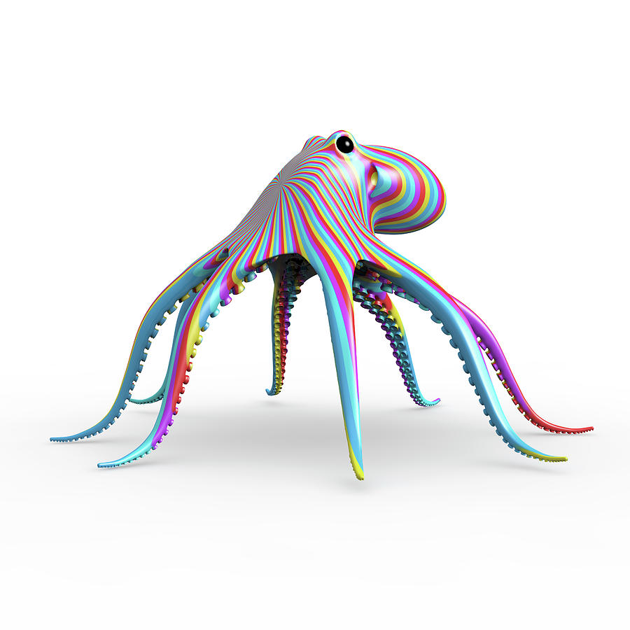 Colorful Octopus On White Background Photograph by Artpartner-images
