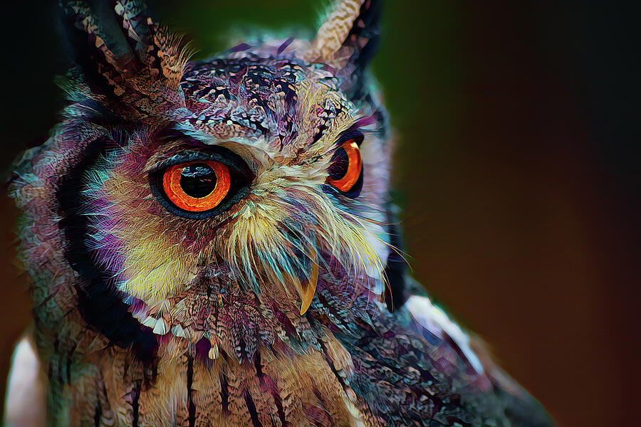 Colorful Owl Digital Art by Terry Davis