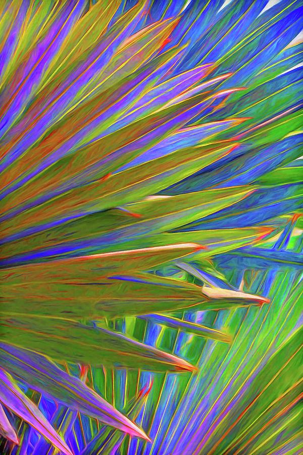 Colorful Palm Frond Abstract Photograph by HH Photography of Florida