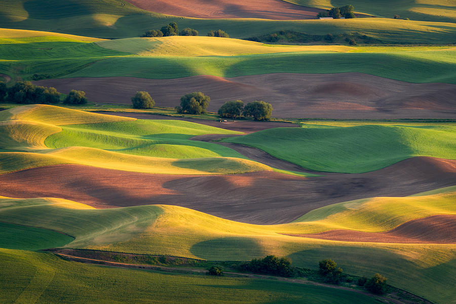 Spring Photograph - Colorful Palouse by Gerald Macua