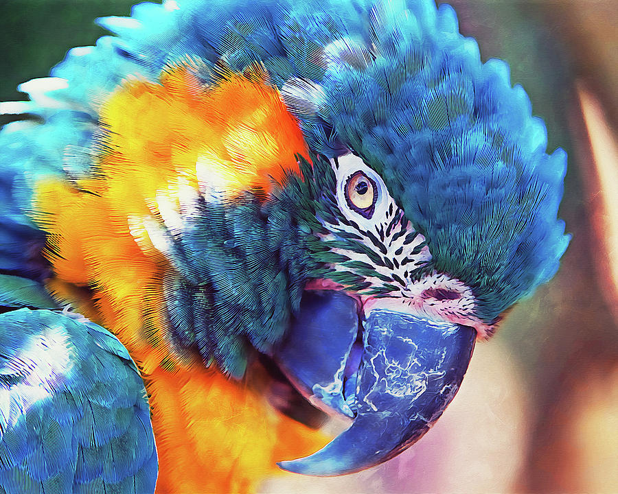 Colorful Parrot - 01 Painting