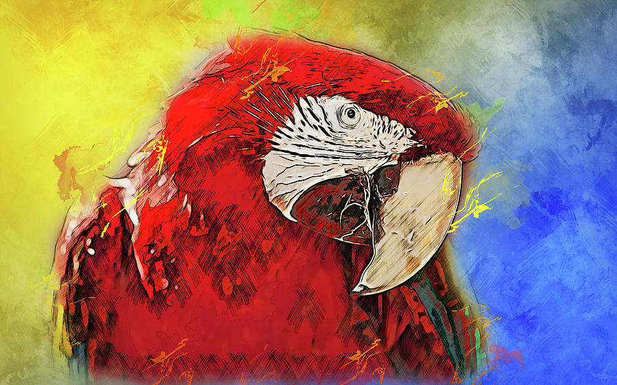 Colorful Parrot - 03 Painting by AM FineArtPrints