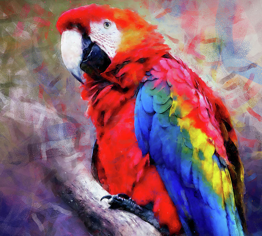 Colorful Parrot - 04 Painting by AM FineArtPrints