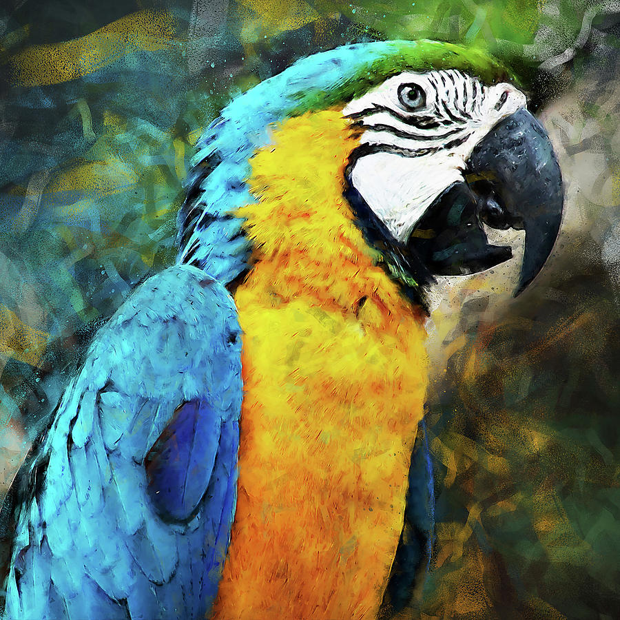 Colorful Parrot - 05 Painting by AM FineArtPrints