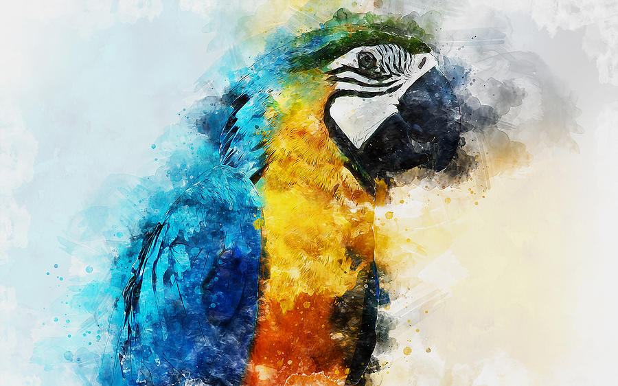 Colorful Parrot - 06 Painting by AM FineArtPrints