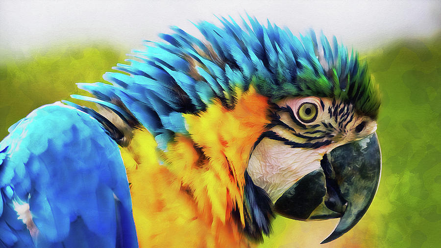 Colorful Parrot - 07 Painting by AM FineArtPrints