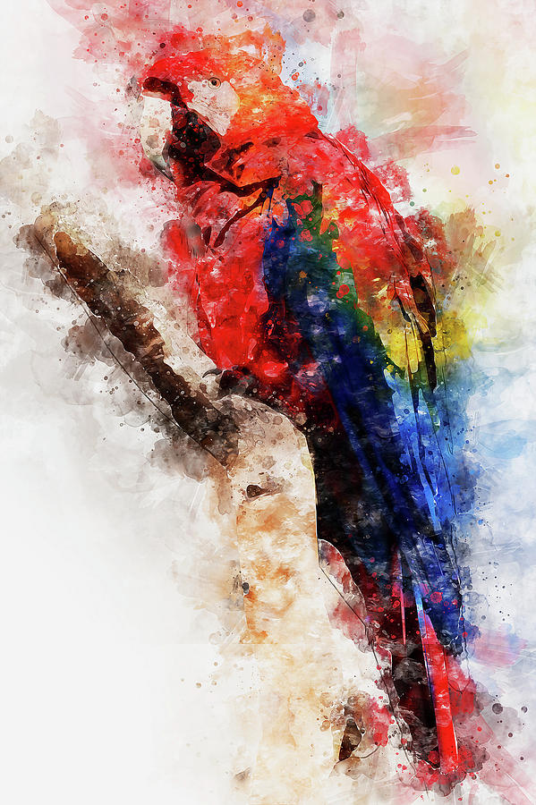 Colorful Parrot - 08 Painting by AM FineArtPrints