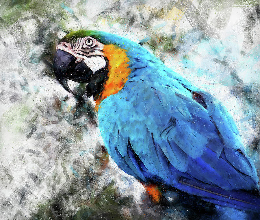 Colorful Parrot - 09 Painting by AM FineArtPrints