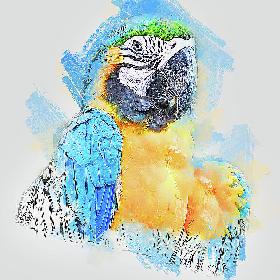 Colorful Parrot - 10 Painting by AM FineArtPrints