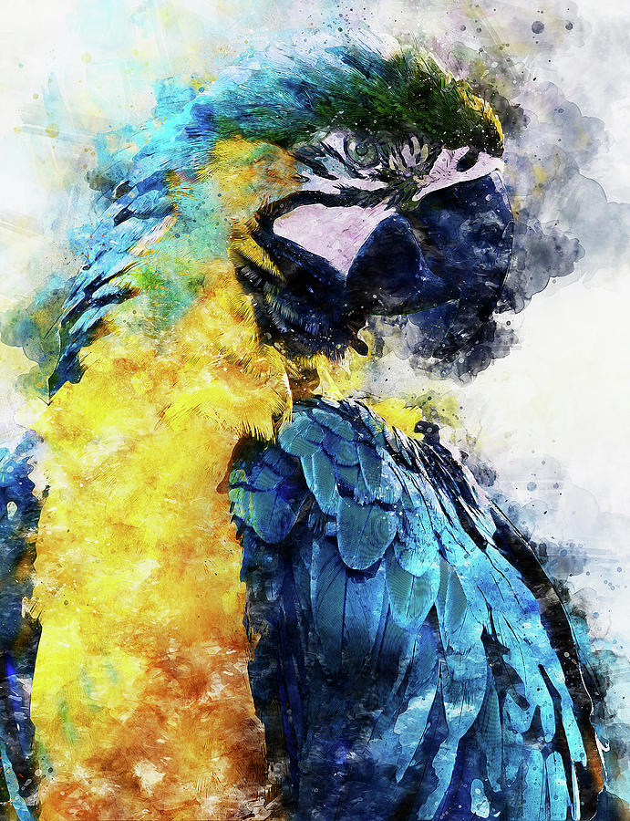 Colorful Parrot - 11 Painting by AM FineArtPrints
