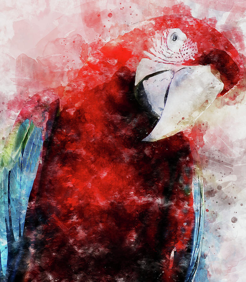 Colorful Parrot - 12 Painting by AM FineArtPrints