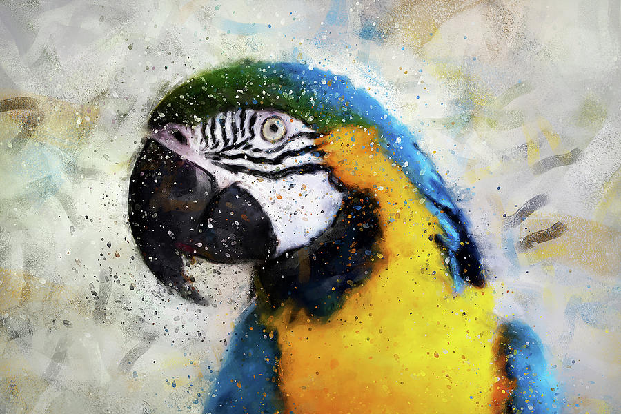 Colorful Parrot - 15 Painting by AM FineArtPrints