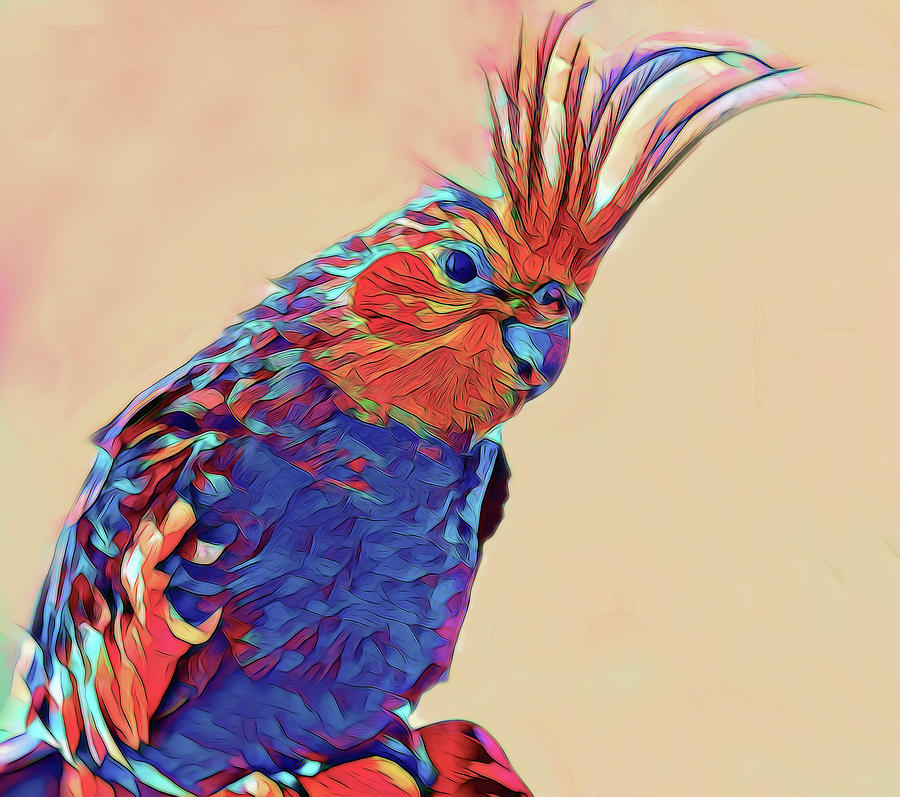 Parrot Digital Art - Colorful Parrot by Terry Davis