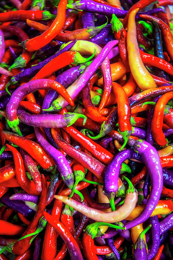 Colorful Peppers Photograph by Garry Gay