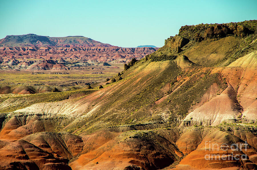 Colorful Petrified Forest Photograph by Stephen Whalen