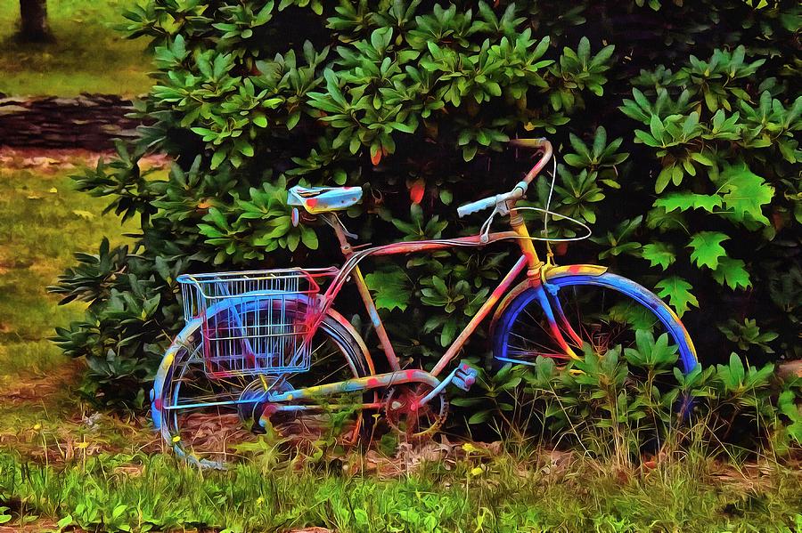 Colorful Ride Photograph by Tricia Marchlik