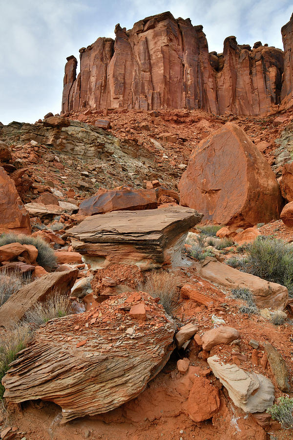 Colorful Rock Garden in Mineral Bottom Photograph by Ray Mathis