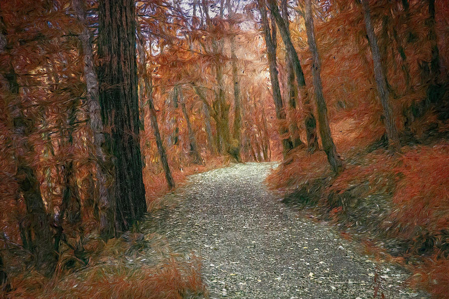 Colorful Rocky Path Photograph by Bill Posner