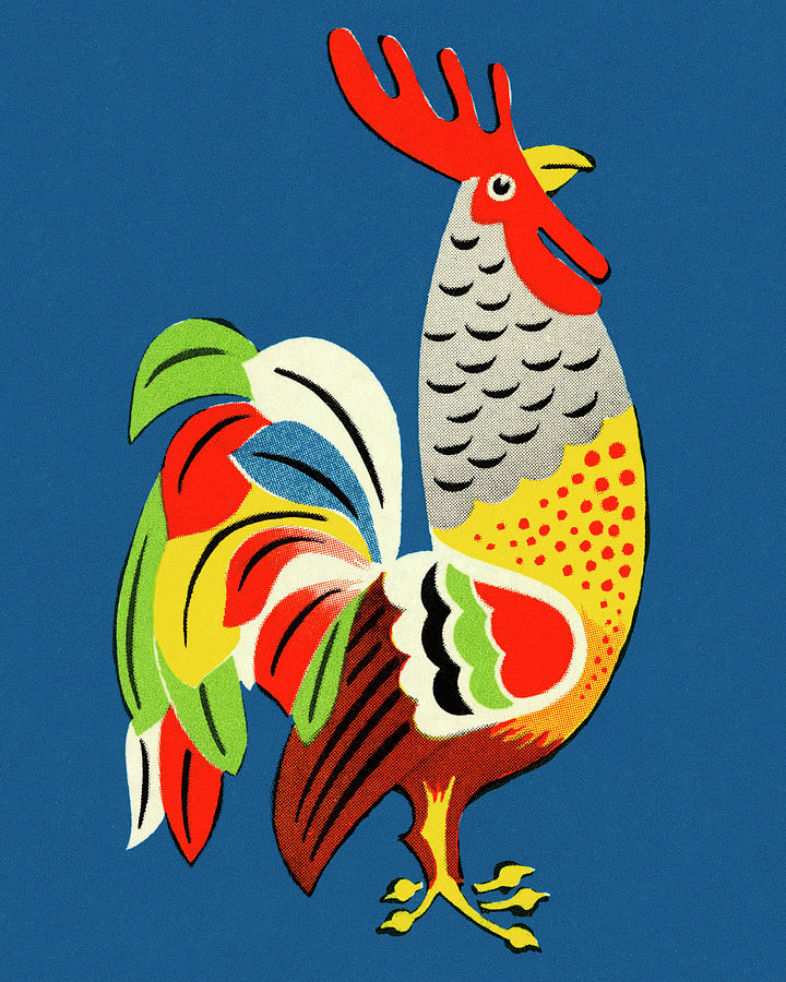 Chicken Drawing - Colorful Rooster by CSA Images