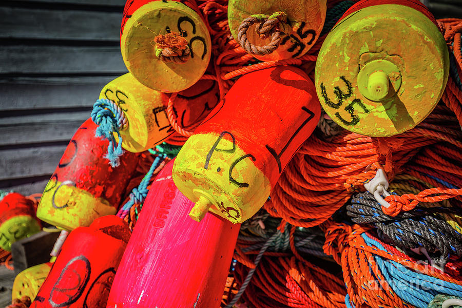 Colorful Ropes and Buoys Photograph by Eva Lechner