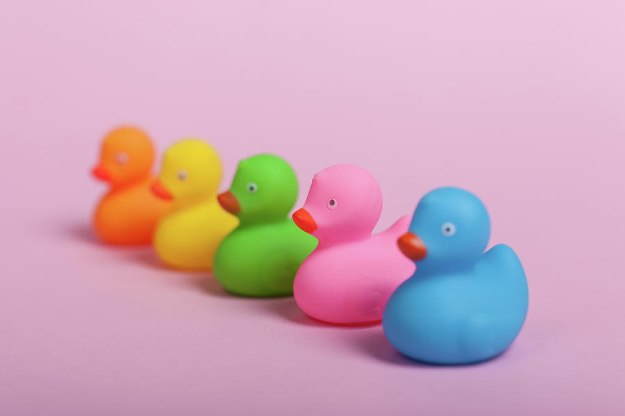Colorful Rubber Ducks On Pink Background Photograph