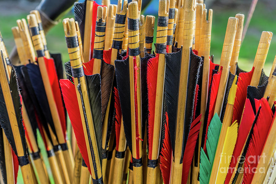 Colorful shafts of wooden arrows with real bird feathers for shooting ...