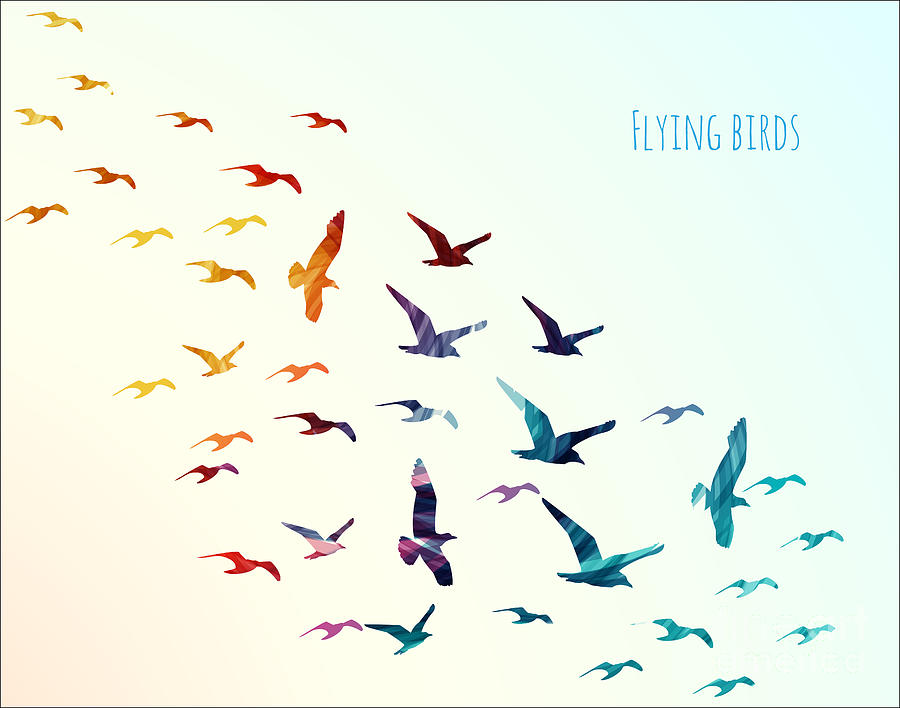Download Colorful Silhouettes Of Flying Birds Digital Art by Ajgul