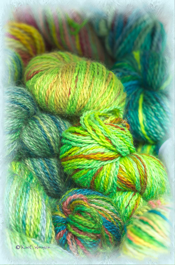 Colorful Skeins of Yarn Photograph by Kae Cheatham