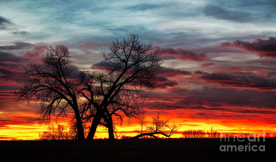 Colorful Sunrise with  Silhouette Trees Photograph by Ronda Kimbrow