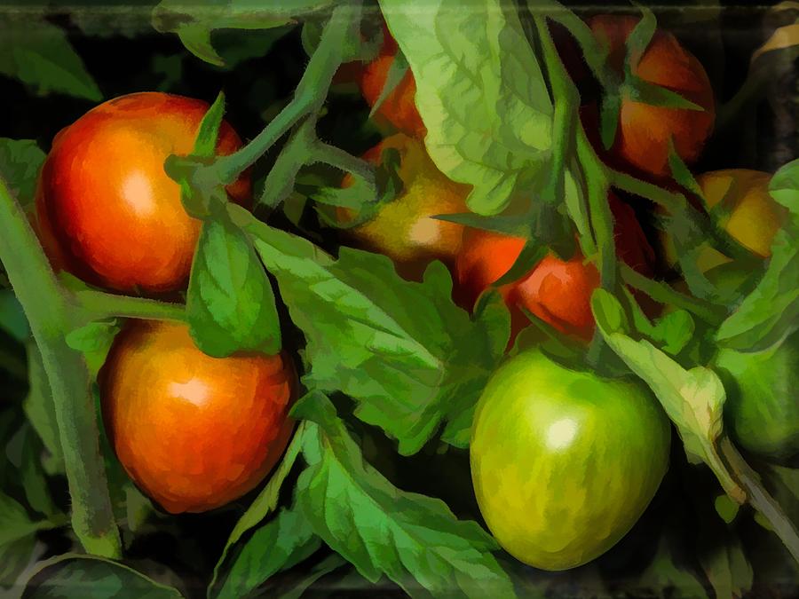 Tomato Digital Art - Colorful tomatoes by Hans Erik Nielsen
