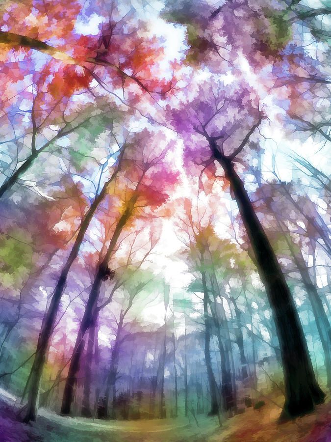 Colorful Trees XIII Digital Art by Tina Baxter