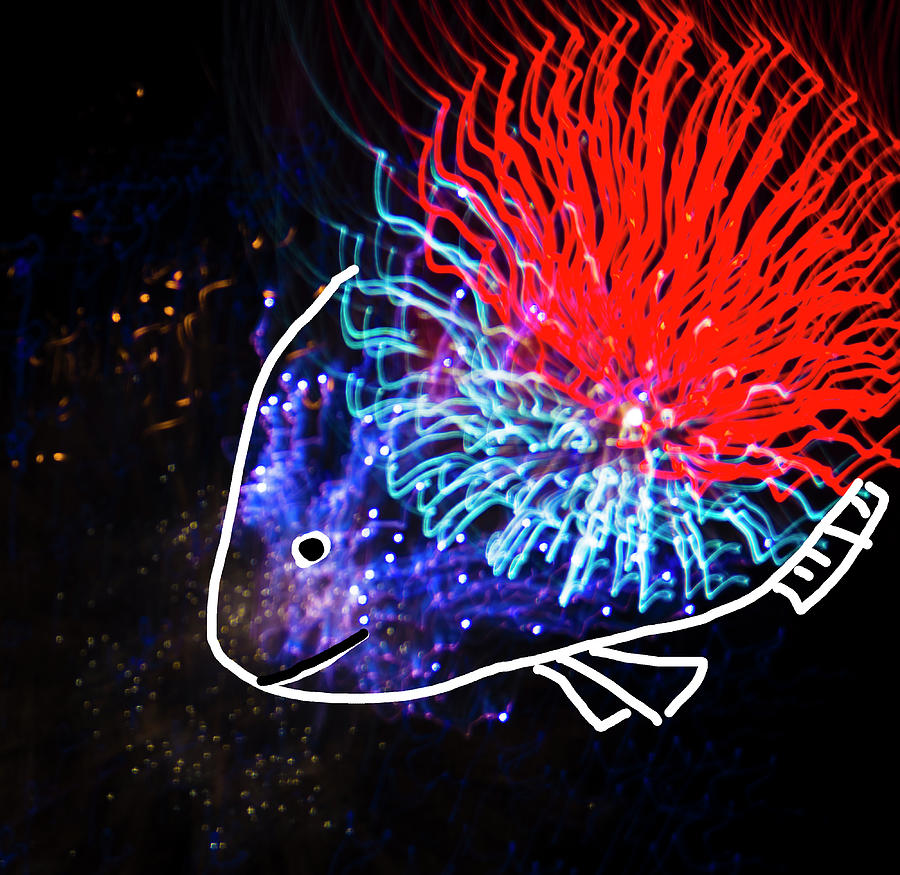 Colorful Tropical Fish by Yulia Kazansky Colorful Tropical Fish by Yulia Kazansky