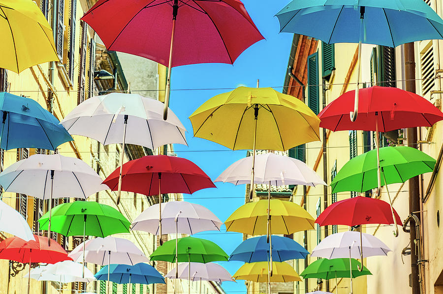 colorful Umbrellas Photograph by Vivida Photo PC