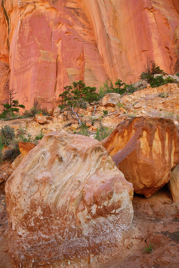 Colorful Walls and Boulders in Capitol Reef Photograph by Ray Mathis