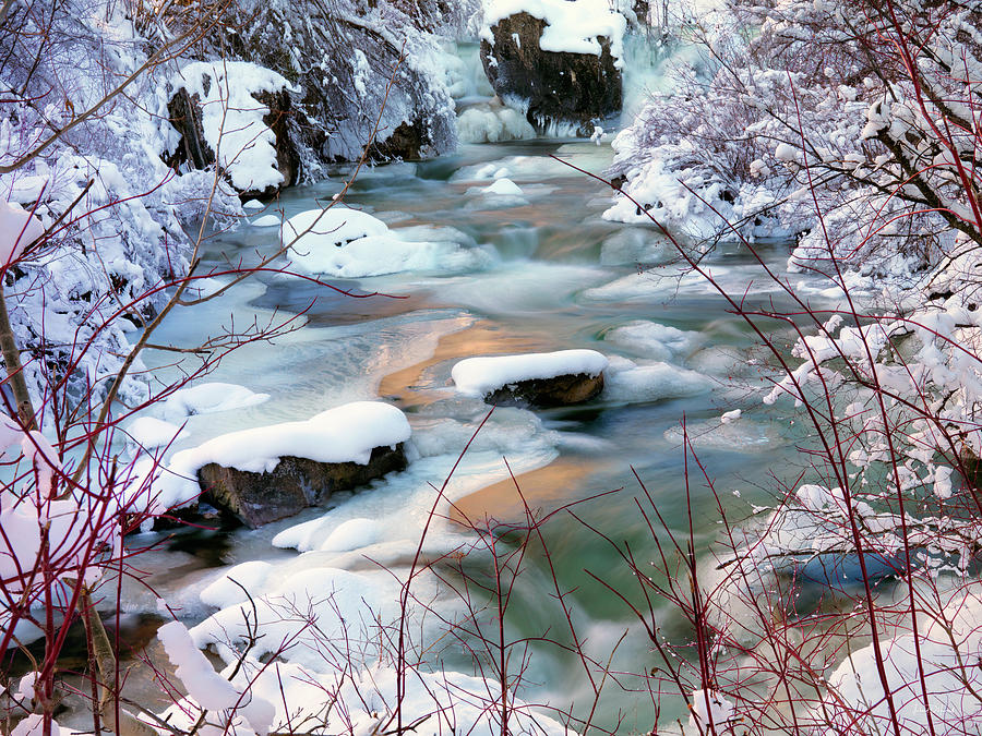 Cool Photograph - Colorful Winter by Leland D Howard