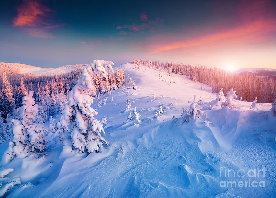 Overcast Photograph - Colorful Winter Sunrise In The by Andrew Mayovskyy Overcast Photograph - Colorful Winter Sunrise In The by Andrew Mayovskyy
