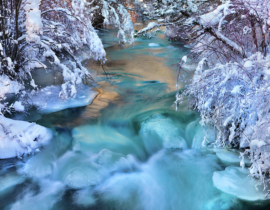 Cool Photograph - Colorful Winter Textures by Leland D Howard
