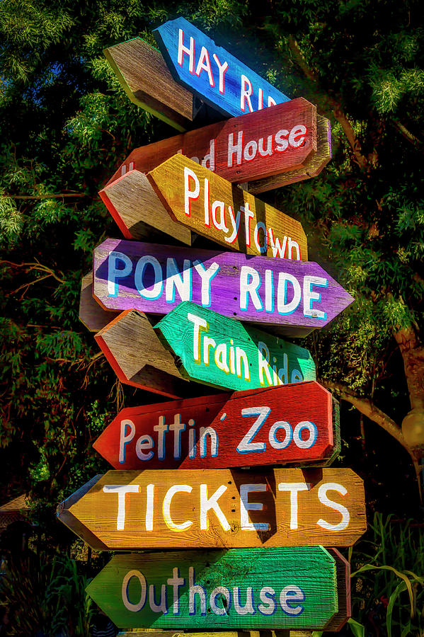 Colorful Wood Direction Signs Photograph by Garry Gay