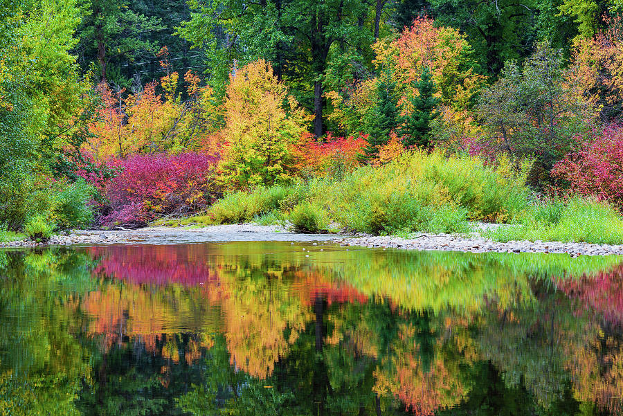 Colorful world on Cascade Meadow Digital Art by Michael Lee