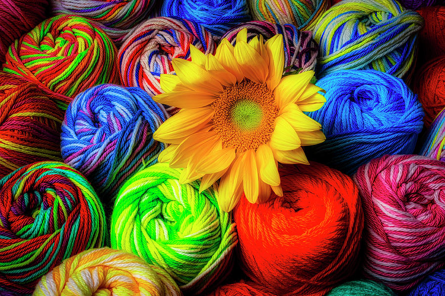 Colorful Yarn And Sunflower Photograph by Garry Gay - Fine Art America