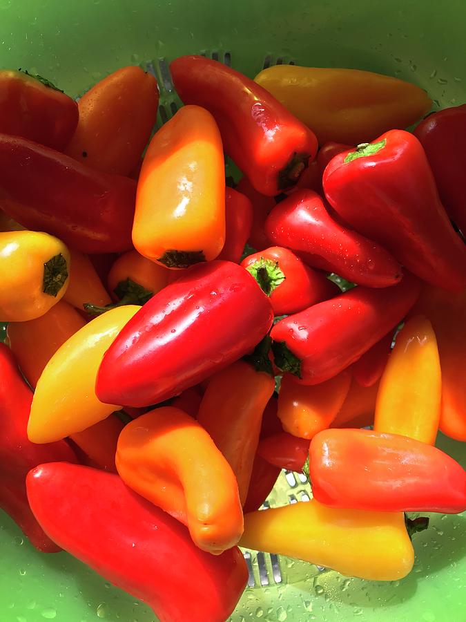 Colorful Yummy Peppers Photograph by Kathy Clark